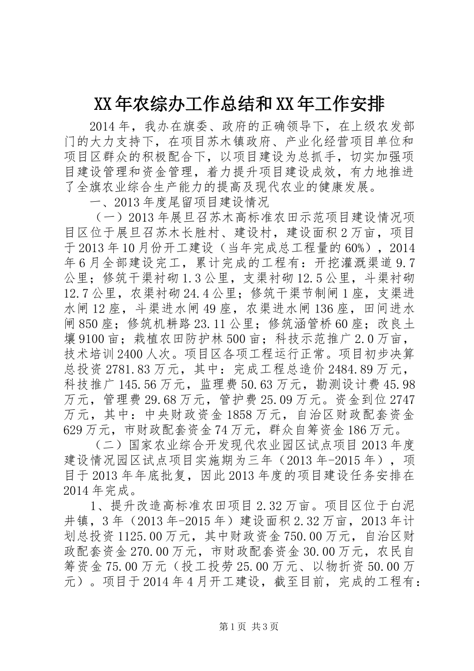 XX年农综办工作总结和XX年工作安排_第1页