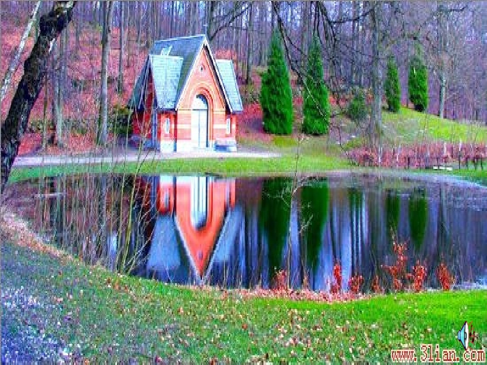 《影子》课件7_第2页