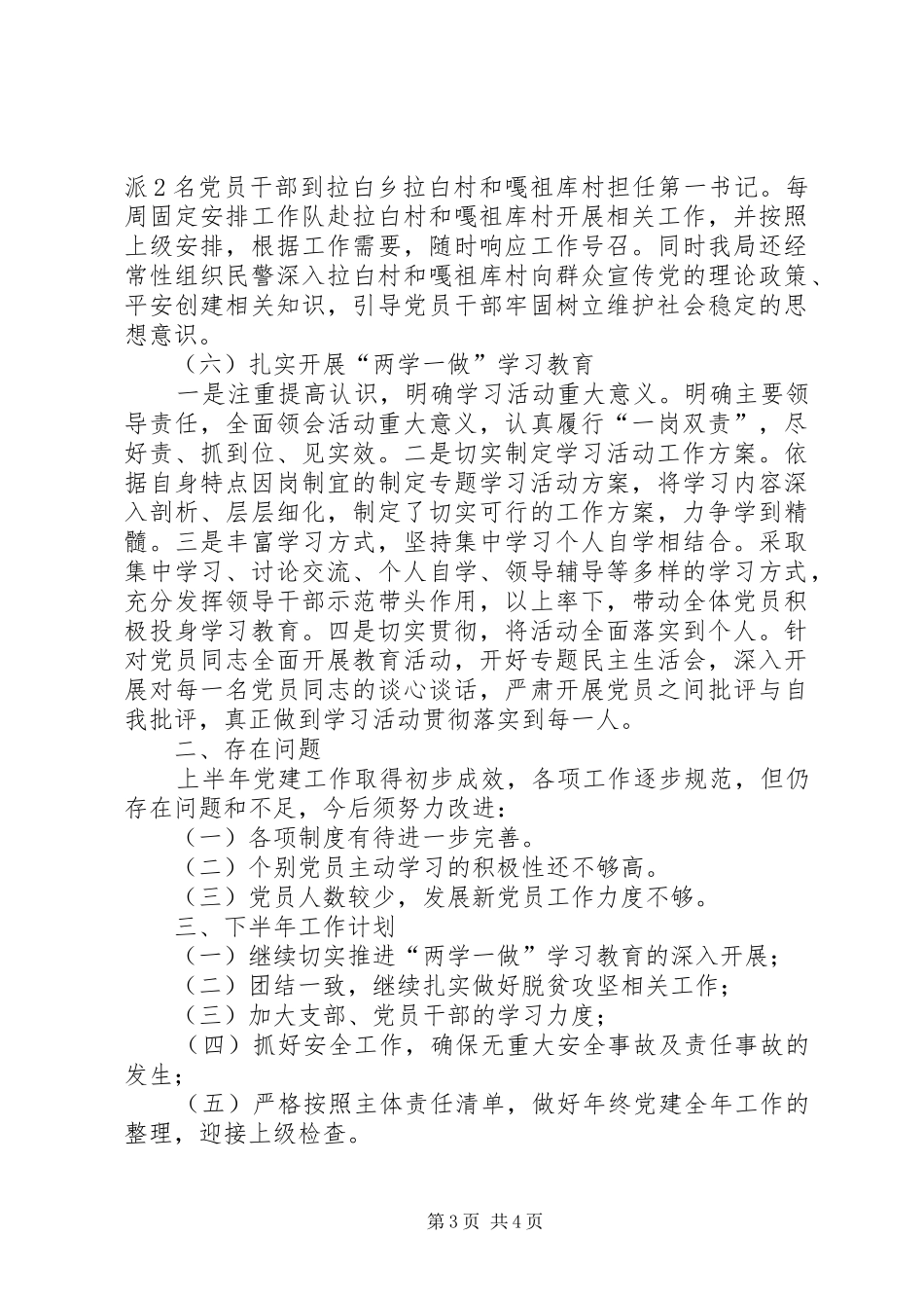 公安分局半年党建总结及下半年计划_第3页