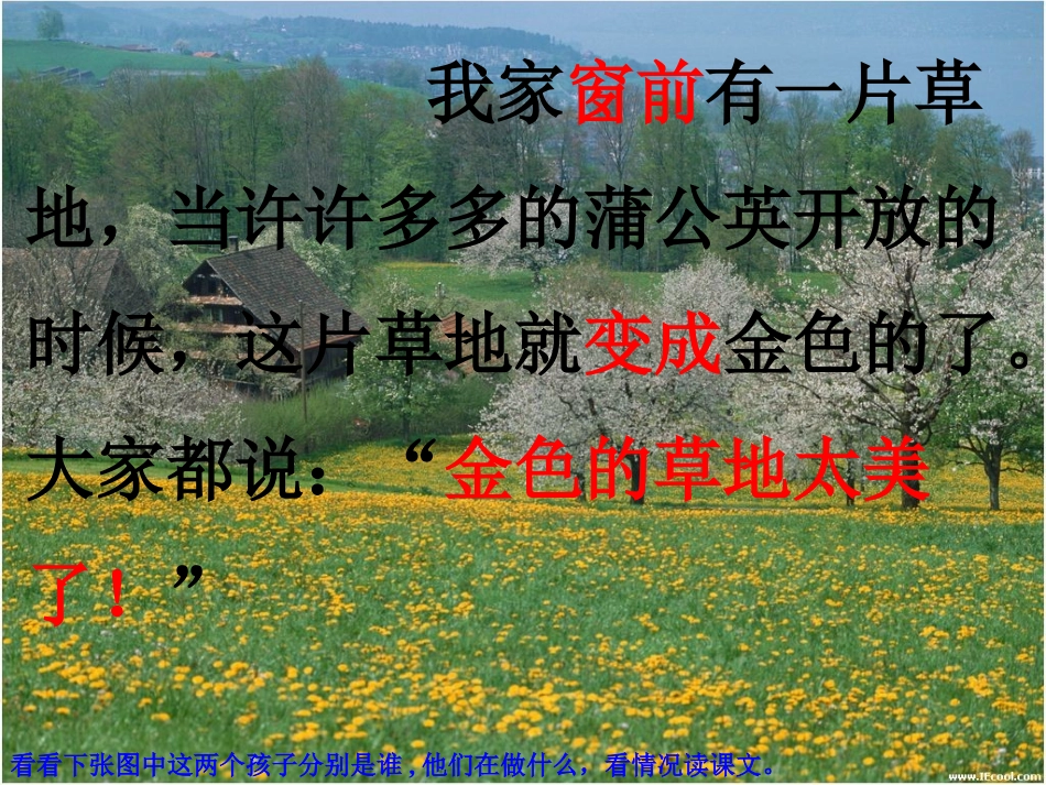 《金色的草地》(好)_第2页