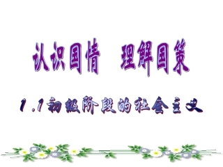 初级阶段的社会主义yong
