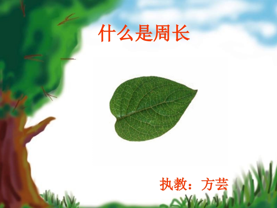 什么是周长的课件_第1页