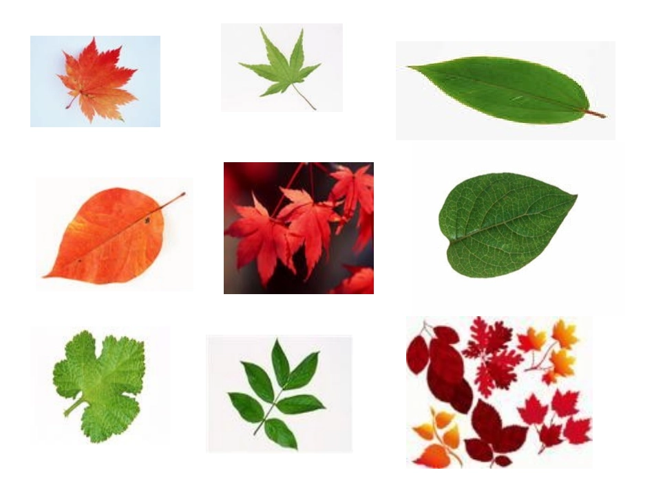 什么是周长的课件_第2页