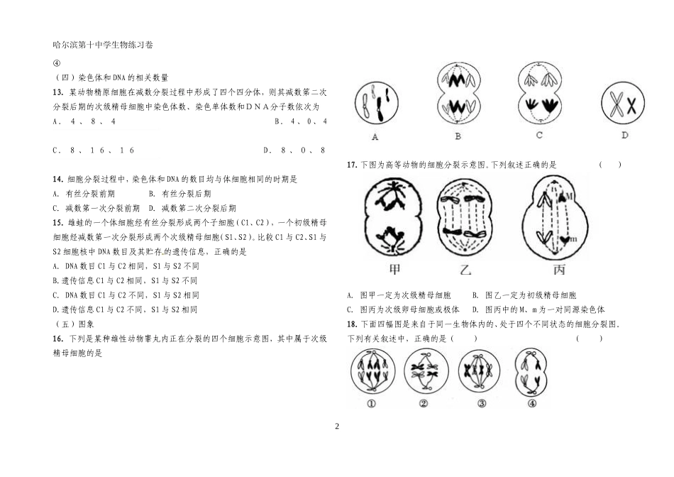 减数分裂和受精作用（习题）_第2页
