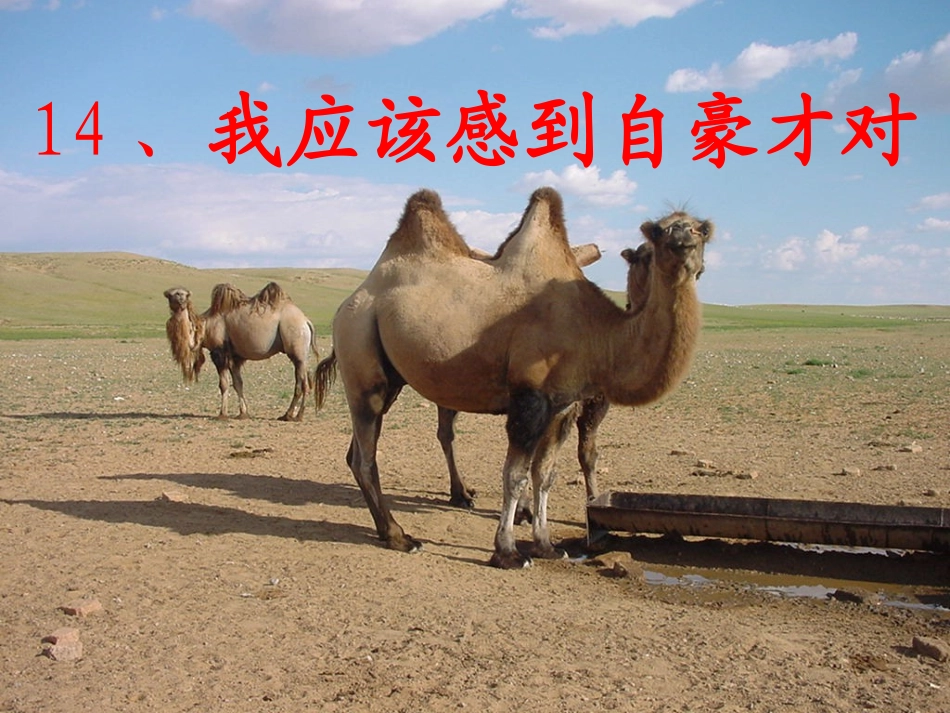 我应该感到自豪才对课件_第1页