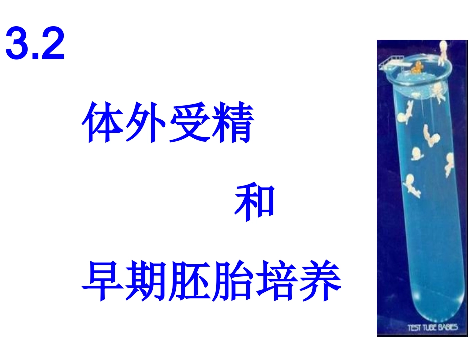 体外受精和早期胚胎培养_第1页