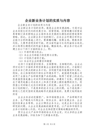 企业新业务计划的实质与内容