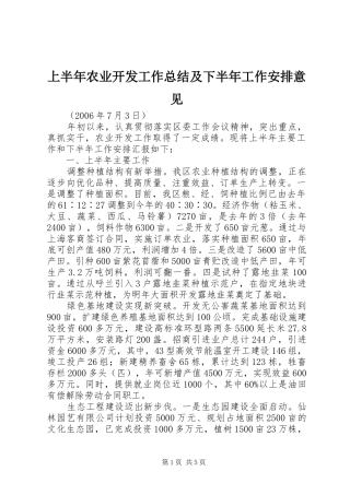 上半年农业开发工作总结及下半年工作安排意见