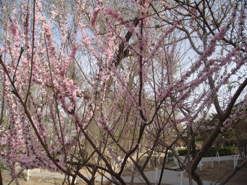 《说四季景色》教学课件_第2页