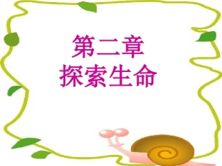 显微镜的使用