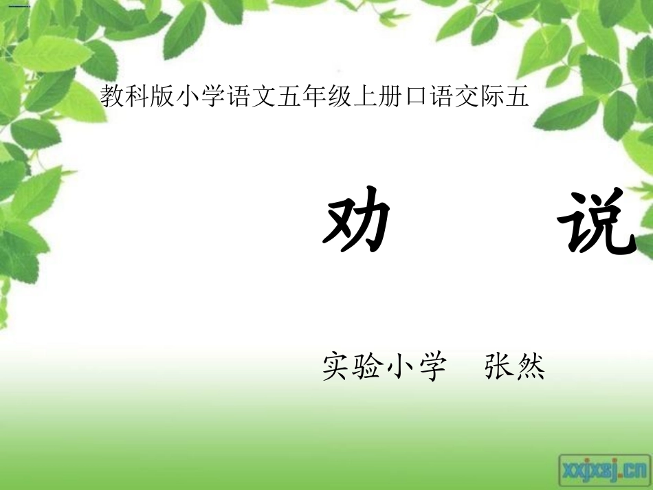 保护野生动物讨论_第1页