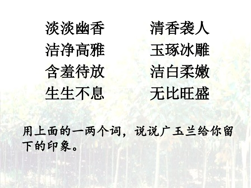 六年级下册《广玉兰》_第2页
