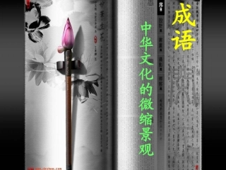 成语：中华文化的微缩景观定稿