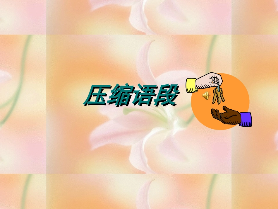 压缩语段公开课_第1页