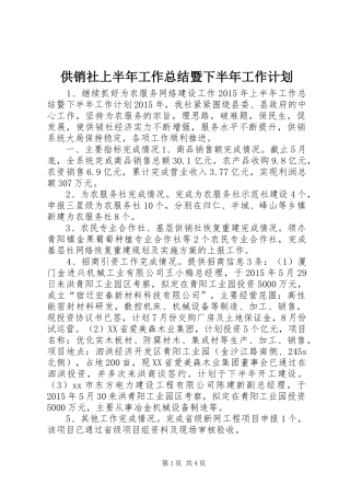 供销社上半年工作总结暨下半年工作计划