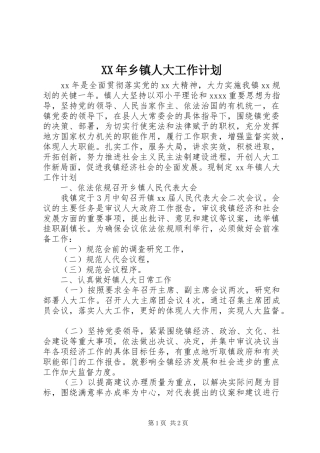 XX年乡镇人大工作计划