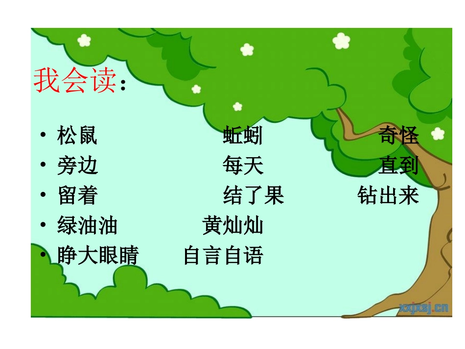 小松鼠找花生果(课件)_第3页