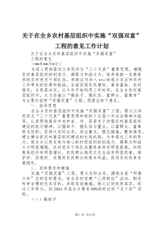 关于在全乡农村基层组织中实施“双强双富”工程的意见工作计划