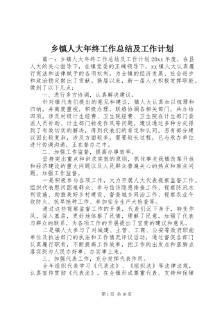 乡镇人大年终工作总结及工作计划