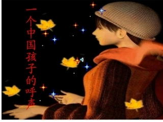 一个中国孩子的呼声课件