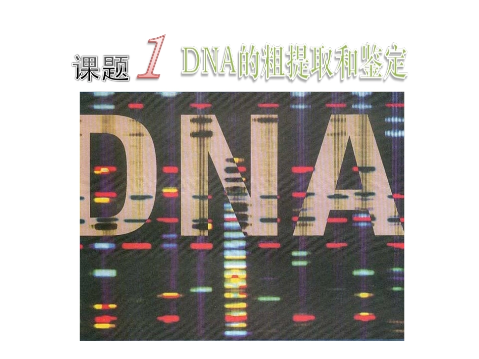 人教版选修一专题五课题一DNA的粗提取与鉴定_第1页