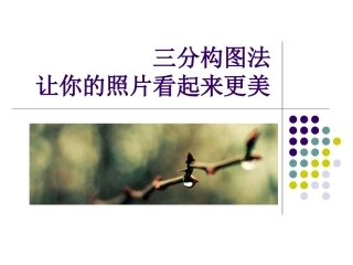 三分构图法_让你的照片看起来更美