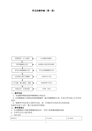 常见的酸和碱第一课