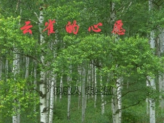《云雀的心愿》幻灯片