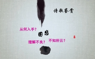 微课说明文档袁友良