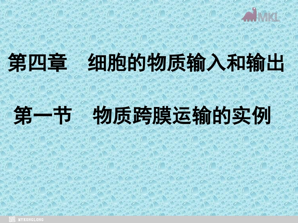 物质跨膜运输的实例课件人教版必修_第1页