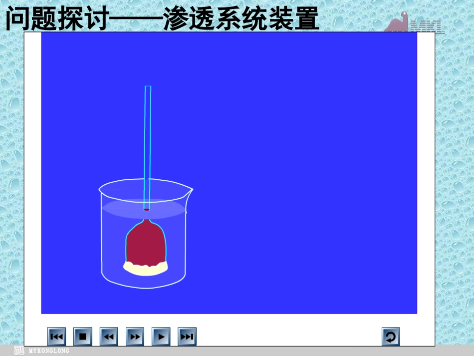 物质跨膜运输的实例课件人教版必修_第2页