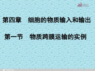 物质跨膜运输的实例课件人教版必修