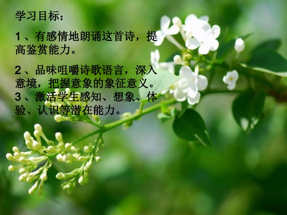 《雨巷》教学课件_第2页