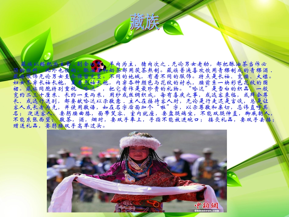 五十六个民族五十六只花_第2页