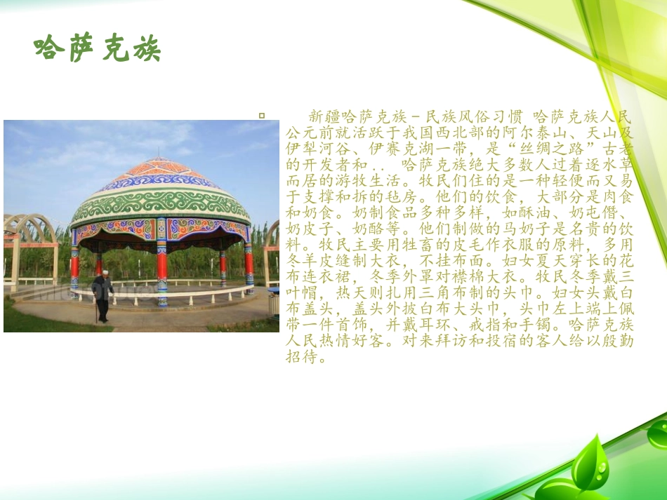 五十六个民族五十六只花_第3页