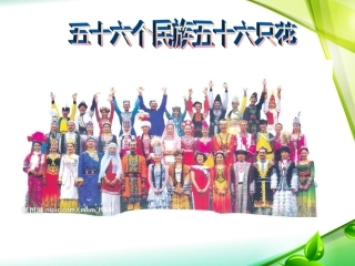 五十六个民族五十六只花