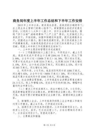 商务局年度上半年工作总结和下半年工作安排