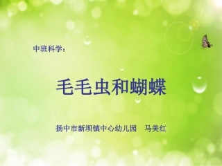 毛毛虫和蝴蝶