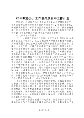 XX年政务公开工作总结及明年工作计划
