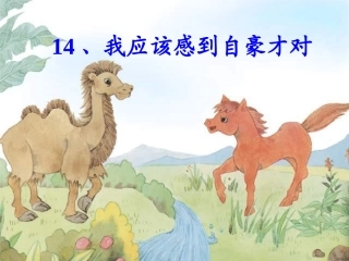 我应该感到自豪才对课件 (2)