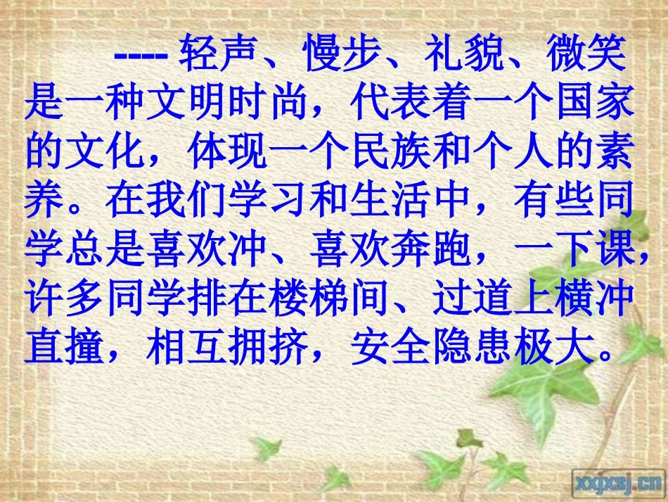 “慢文化”安全主题班会课件1_第2页