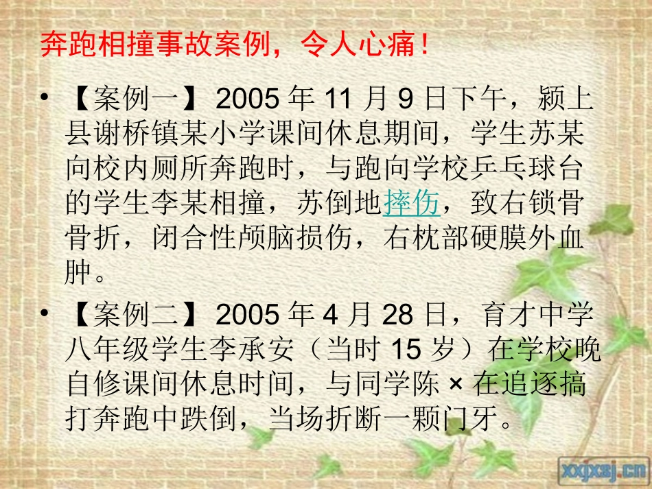 “慢文化”安全主题班会课件1_第3页