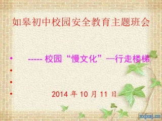 “慢文化”安全主题班会课件1
