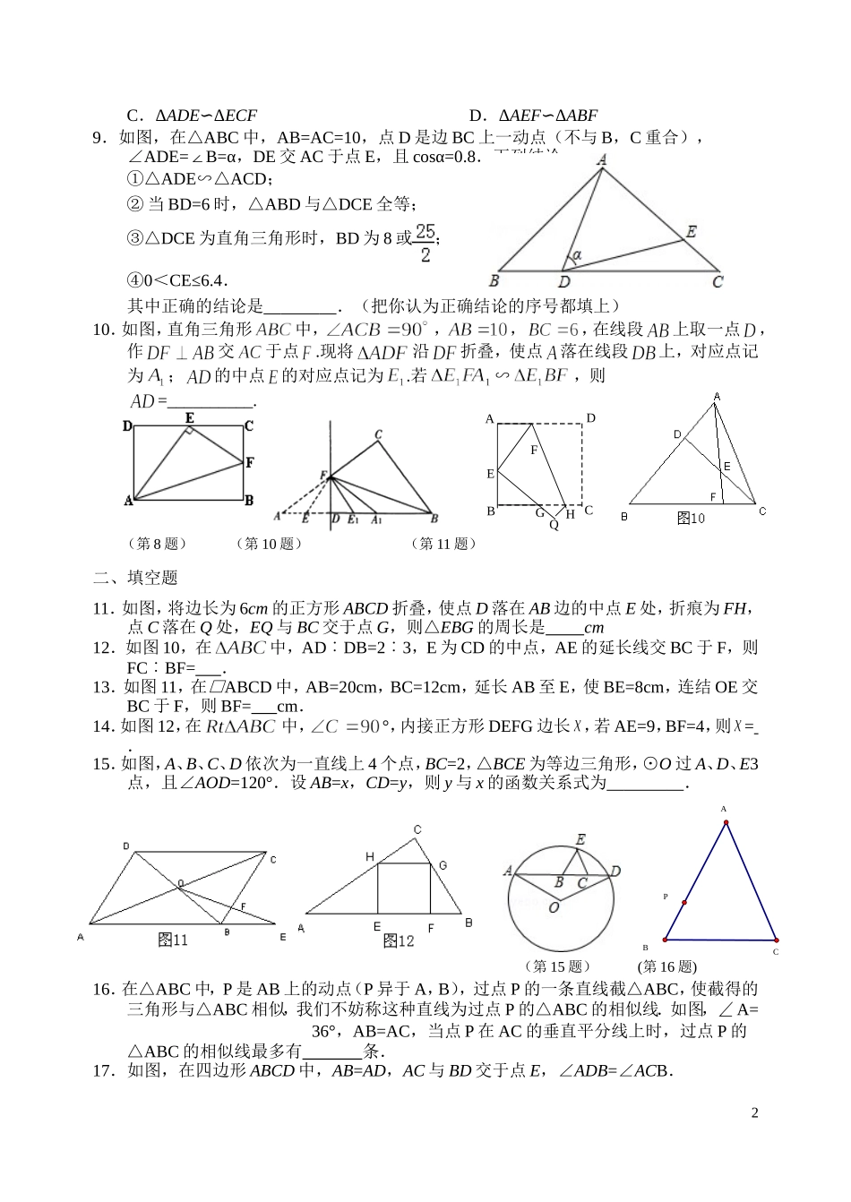 期末复习：相似_第2页