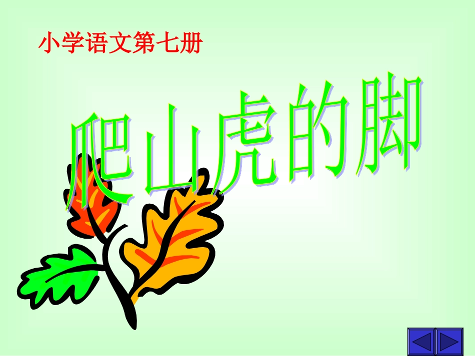 《爬山虎的脚》课件2_第1页