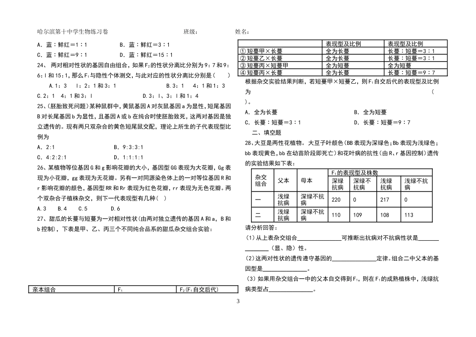 孟德尔豌豆杂交实验（二）_第3页