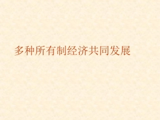 多种所有制经济共同发展