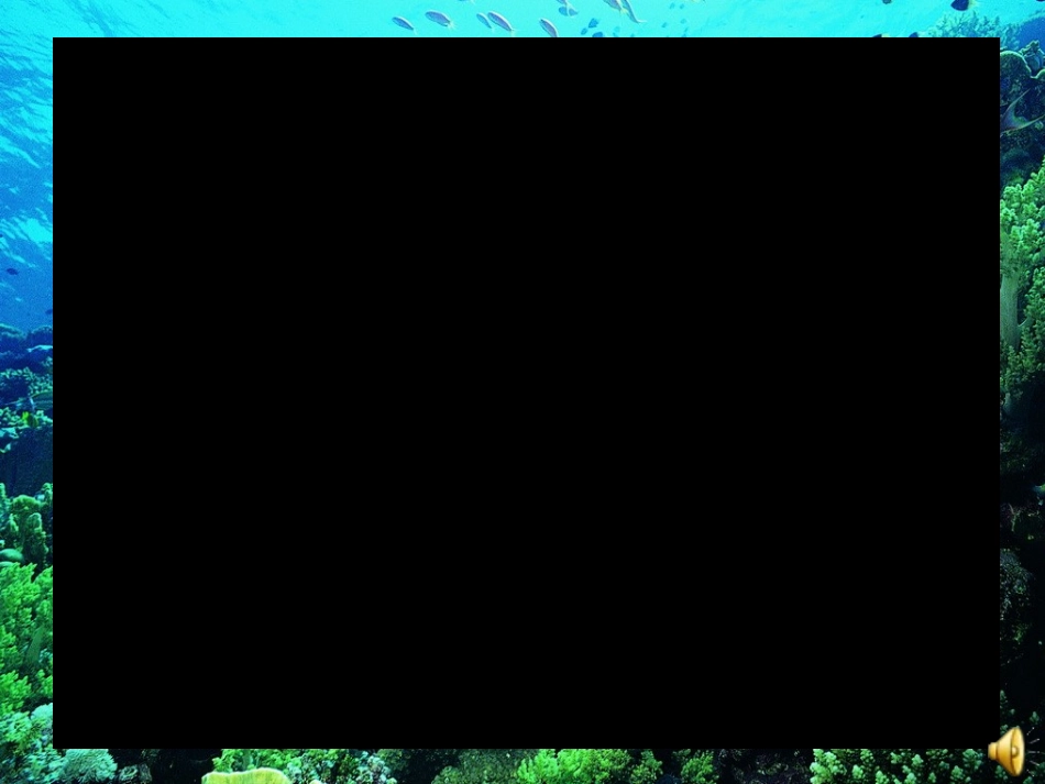 海底世界 (3)_第3页
