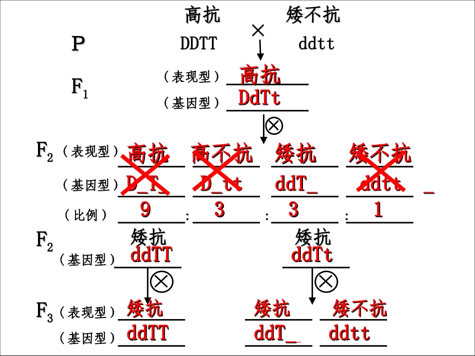 植物杂交育种的基本过程_第2页