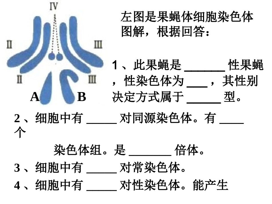 复习-育种方法_第1页